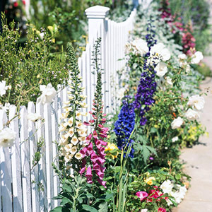 front garden designs